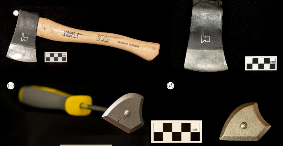 Cercetătorii au descoperit de ce oamenii preistorici au atașat mânere la uneltele lor