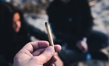 Un site de recenzii recrutează persoană care fumează zilnic marijuana zilnic. Ce salariu oferă