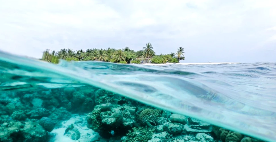 Un studiu susține că prăbușirea ecosistemelor oceanice ar putea devasta omenirea în următorii 25 de ani