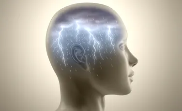 A fost identificat „dicţionarul” din creierul uman