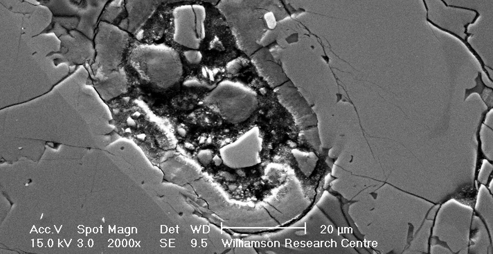 Ce este această structură ciudată descoperită într-un meteorit provenit de pe Marte? (FOTO)