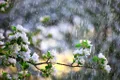 Vremea o ia razna în România! Ce au anunțat meteorologii pentru următoarele săptămâni?