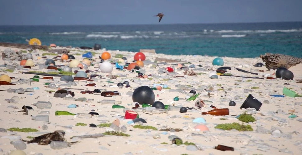 O insulă izolată conţine cea mai mare cantitate de DEŞEURI plastice din lume