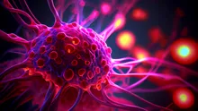 Un supliment anti-îmbătrânire ar putea contribui la evoluția celulelor canceroase