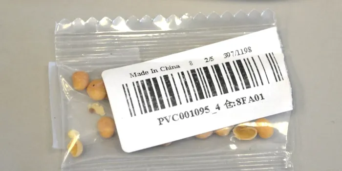 Pachetele cu semințe misterioase care au ajuns în întreaga lume, parte a unei înșelătorii internaționale