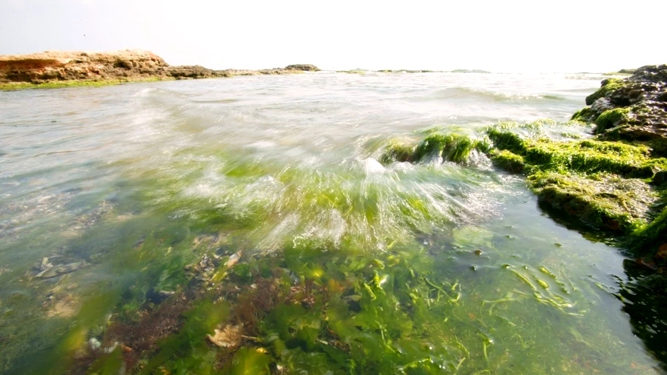 Misterul nivelului crescut al oceanului a fost dezlegat