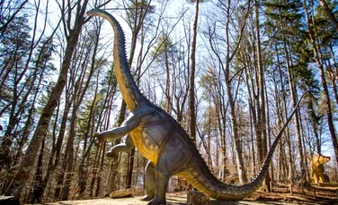 Cel mai înalt dinozaur din sud-estul Europei, expus la Râșnov. Este cât două girafe suprapuse