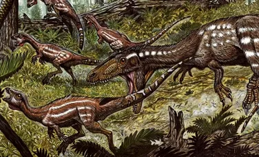 Cercetătorii au descoperit o nouă specie de dinozaur carnivor, strămos al lui Tyrannosaurus Rex
