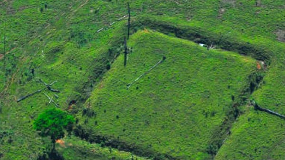 Legendarul oras El Dorado ar fi putut exista in Amazonia