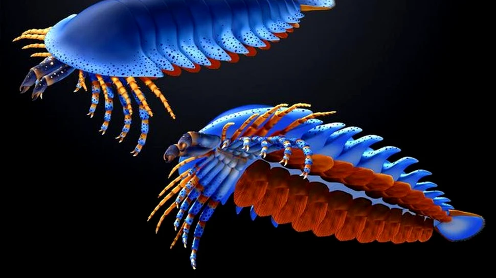 O nouă specie de păianjen preistoric descoperită în adâncuri a fost numită în onoarea lui Jacques Cousteau