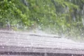 Cum ar putea fi apa de ploaie o armă secretă în lupta cu temperaturile extreme?
