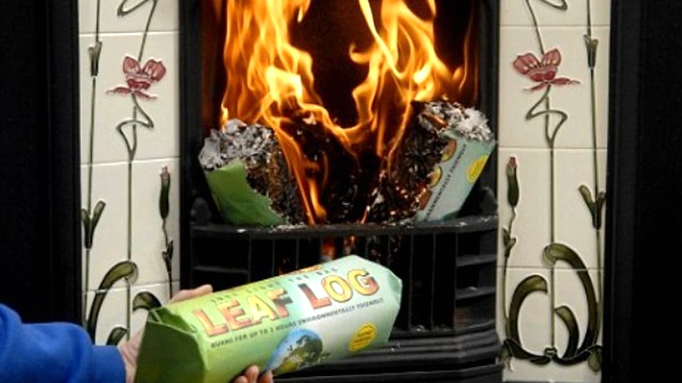 Buturuga de frunze – combustibil ecologic