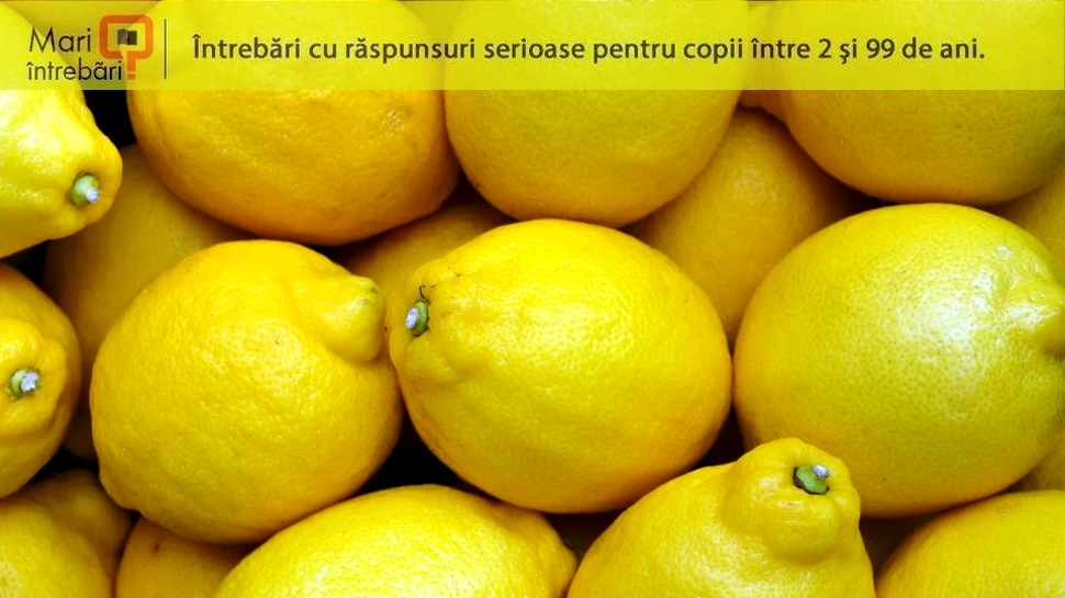 De ce ne strâmbăm atunci când gustăm ceva acru?