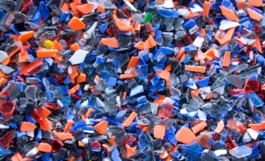 Microplasticele pot bloca vasele de sânge din creier, arată un studiu