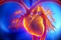 Terapia cu lumină ar putea încetini îmbătrânirea inimii