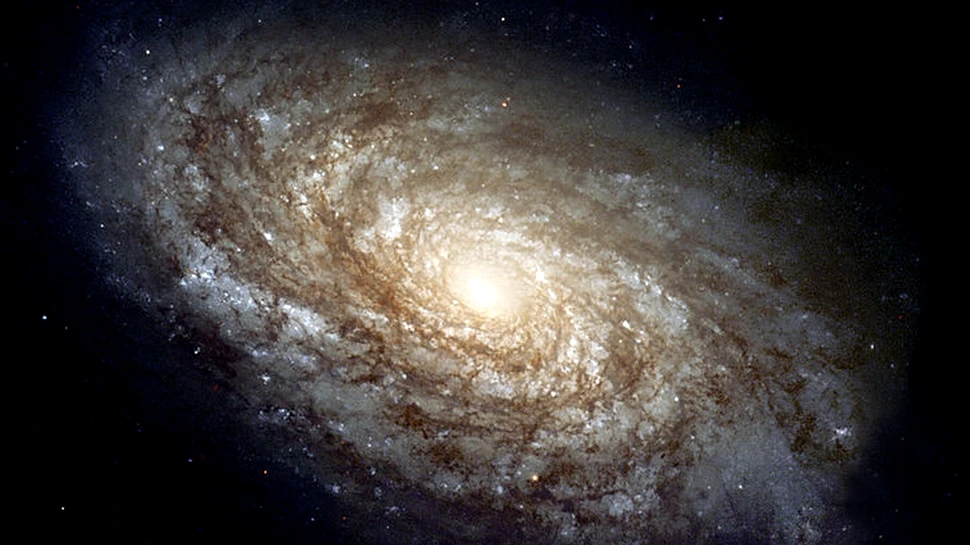 „Mulţi au spus că o asemenea fotografie este imposibil de realizat”. Cum se vede galaxia noastră dintr-o zonă poluată (FOTO)