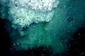 Vulcanul subacvatic acoperit cu ouă uriașe este casa unui animal uimitor