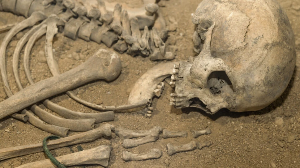 Primii fermieri europeni nu erau atât de înalți precum se credea. Care ar fi fost motivul?