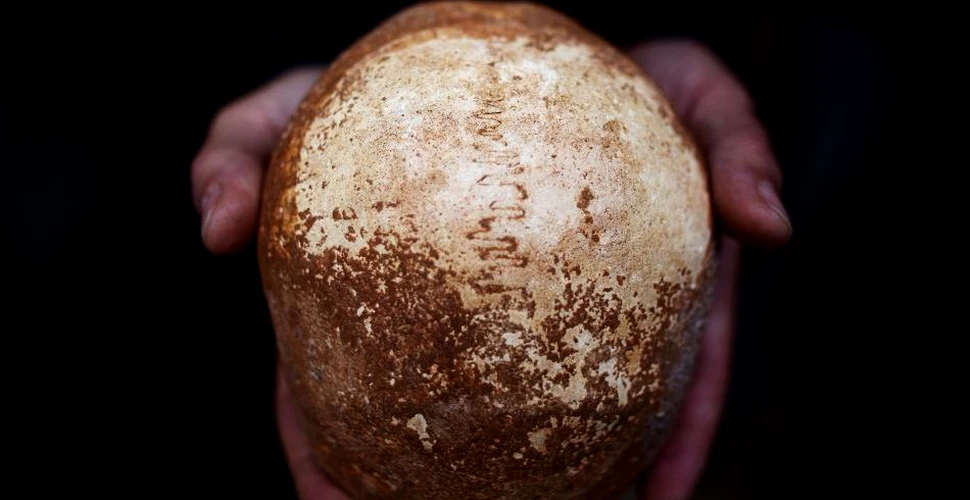 Un craniu de om modern, cu o vechime de peste 7.000 de ani, a fost descoperit în Israel