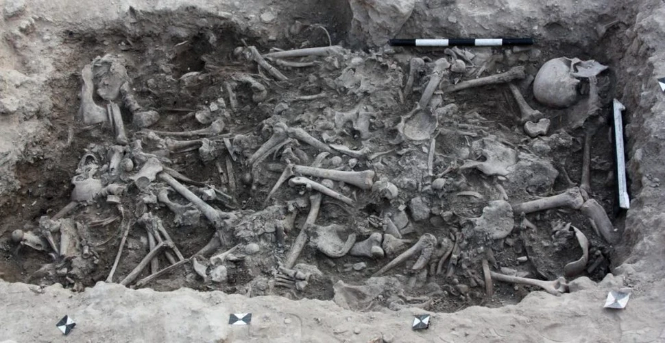 Analize genetice asupra unor schelete din secolele XI-XIII oferă noi detalii despre soldaţii cruciaţi