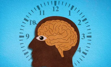 Fragmentele de bacterii din creier ar putea influența somnul