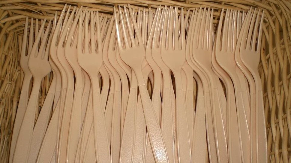 Din 2020, în Franţa vor fi interzise tacâmurile şi vesela din plastic