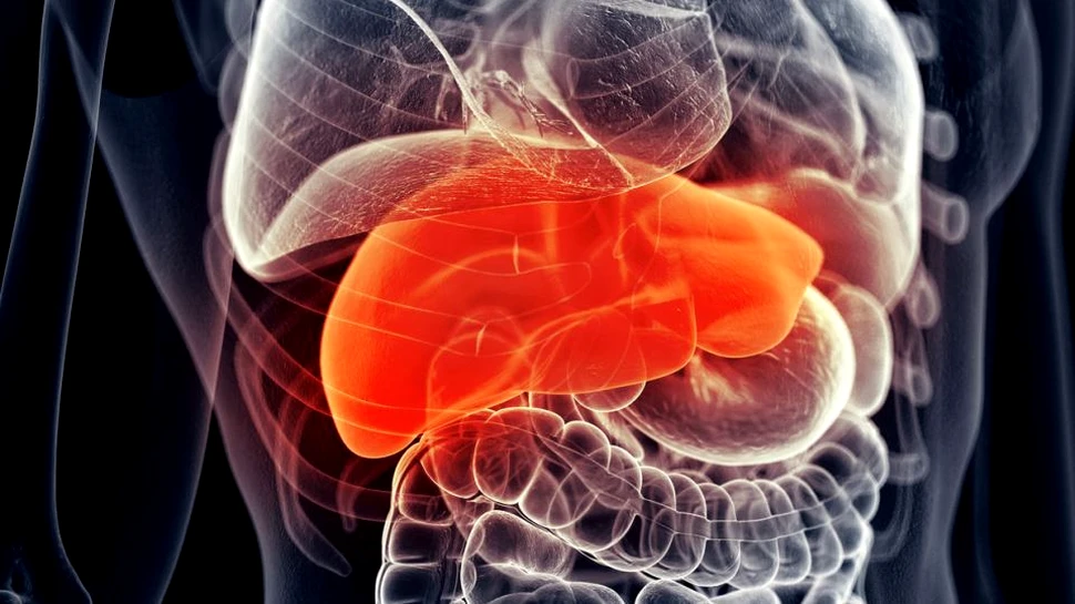O nouă metodă poate rezolva problema transplantelor de organe prin combinarea a două tehnici revoluţionare