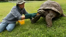 Cel mai bătrân animal terestru din lume, o broască țestoasă numită Jonathan, a împlinit 190 de ani