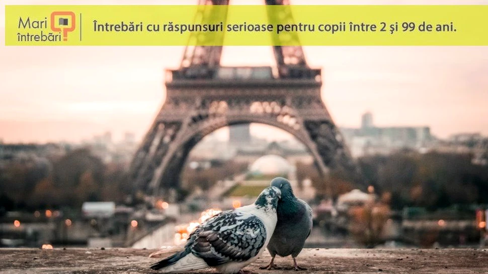 De ce porumbeii au penaj diversificat?