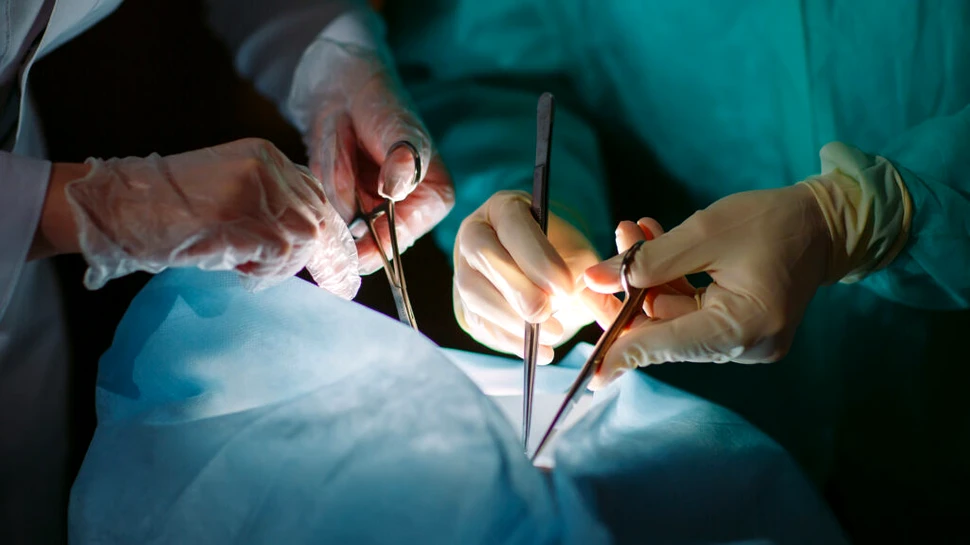 Oamenii de știință susțin că pot inversa semnele îmbătrânirii cu ajutorul transplanturilor de fecale