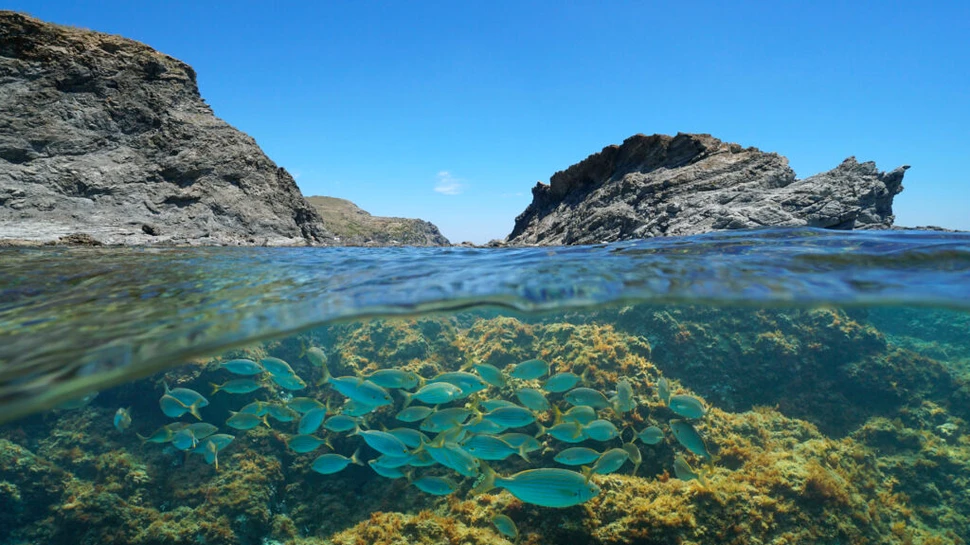 Un cartier din Marsilia este încălzit cu apă din Marea Mediterană