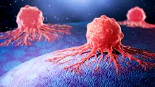 Un supliment obișnuit pentru sală ar putea ajuta celulele care luptă împotriva cancerului