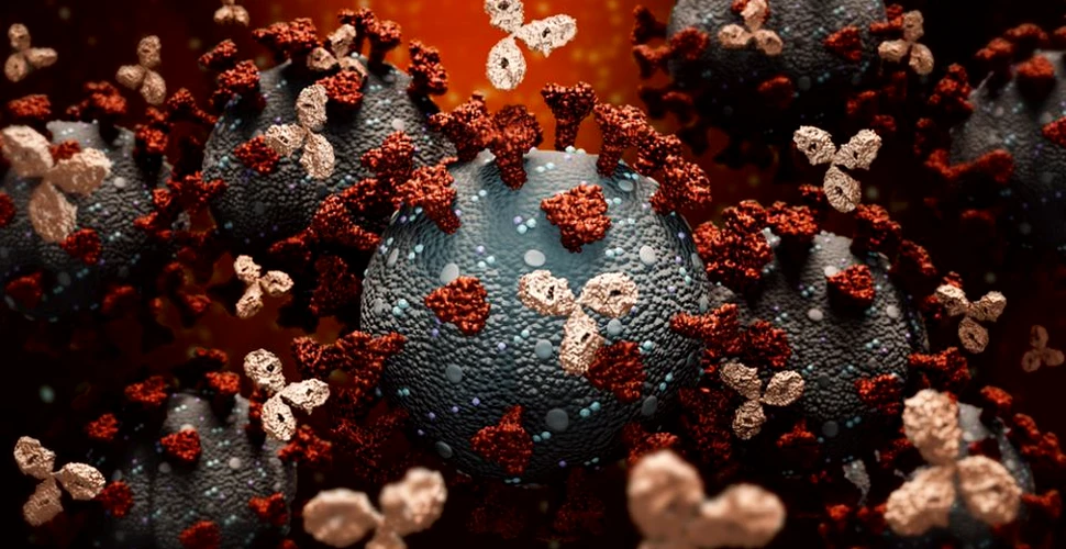 Descoperire majoră legată de coronavirus făcută de cercetători din Israel