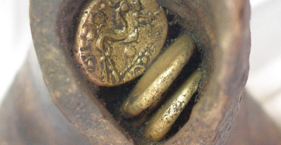 Monede antice, găsite într-un os de vacă, expuse la un muzeu din Anglia