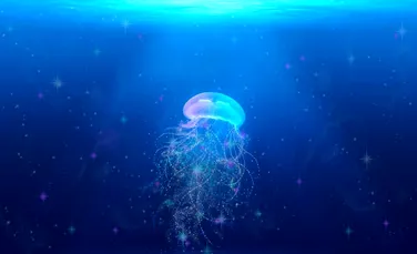 Meduzele-cyborg ar putea fi folosite pentru explorarea oceanelor