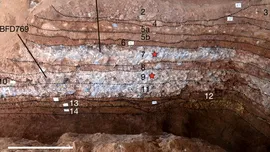 Oamenii de știință au descoperit osul unui strămoș uman misterios, într-o peșteră din China