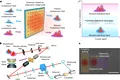 Fizicienii au creat primul material cuantic la temperatura camerei