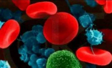 Sangele artificial va fi testat pe oameni