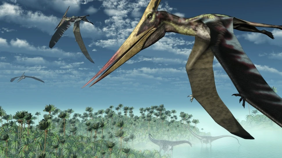Un nou studiu poate rescrie ce cunoaştem despre pterozauri, un grup extinct de specii de zburătoare care se găseau şi pe teritoriul României