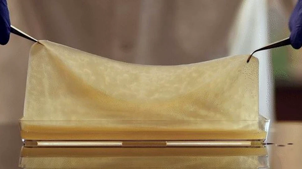 Cercetătorii au reușit să creeze „materiale vii” din băutura fermentată Kombucha