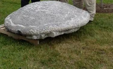 Cel mai bine conservat stromatolit a fost descoperit in Virginia