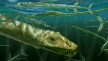 Cercetătorii au descoperit fosila unui „dragon”
