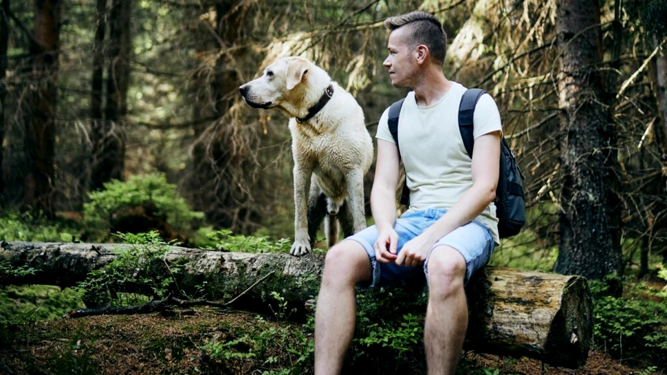 Ne iubesc câinii cu adevărat sau doar ne folosesc pentru adăpost și hrană?