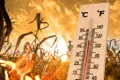 Lumea tocmai a trecut prin a doua cea mai caldă lună iulie înregistrată vreodată