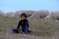Un studiu Salvați Copiii arată o diferență majoră între mediul rural și cel urban din România