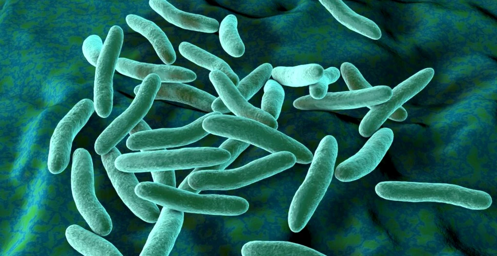 De ce antibioticele pot eșua chiar și împotriva bacteriilor care nu sunt rezistente?