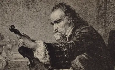 Ce au descoperit cercetătorii despre lemnul viorilor lui Stradivari