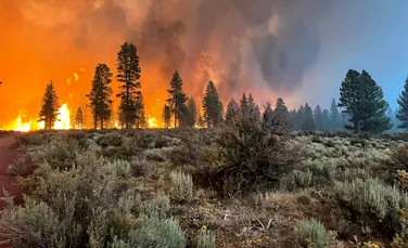 Încălzirea globală și exploatarea terenurilor vor duce la incendii de vegetație mai extreme