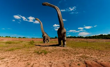 De ce sauropozii aveau gâturi atât de lungi?