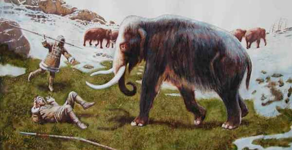 Mamutii au disparut inainte de aparitia sulitelor